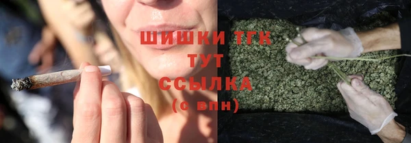 стаф Баксан