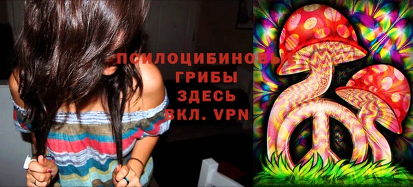 стаф Баксан
