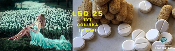 стаф Баксан