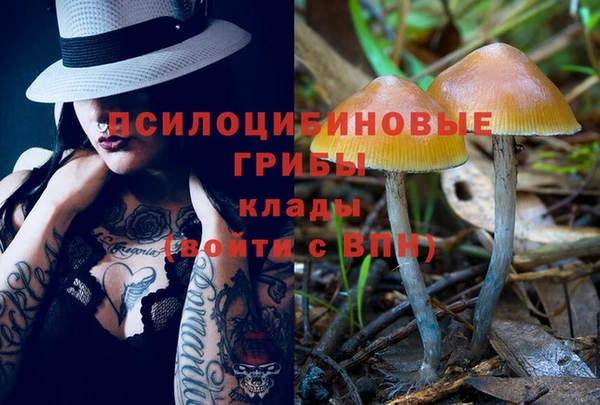 стаф Баксан