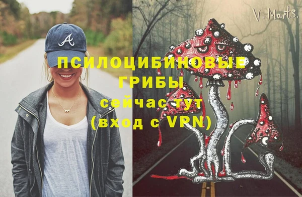 стаф Баксан