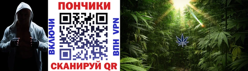 хочу   Светлоград  это телеграм  Бошки марихуана Bruce Banner 